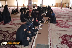 تجدید میثاق کارکنان ، مدرسان ودانشجویان پردیس کوثر با آرمانهای شهدا 5