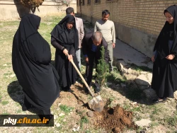 غرس نهال در حیاط ساختمان شماره 2 پرددیس کوثر 3