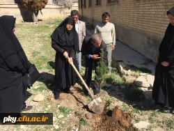 غرس نهال در حیاط ساختمان شماره 2 پرددیس کوثر 4