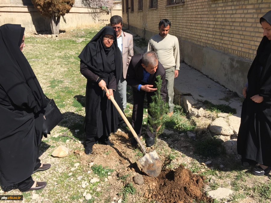 غرس نهال در حیاط ساختمان شماره 2 پرددیس کوثر 4