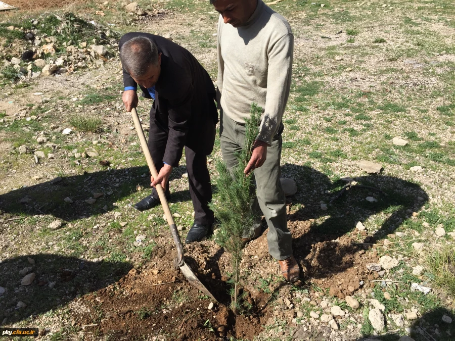 غرس نهال در حیاط ساختمان شماره 2 پرددیس کوثر 6