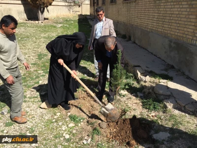 غرس نهال در حیاط ساختمان شماره 2 پرددیس کوثر