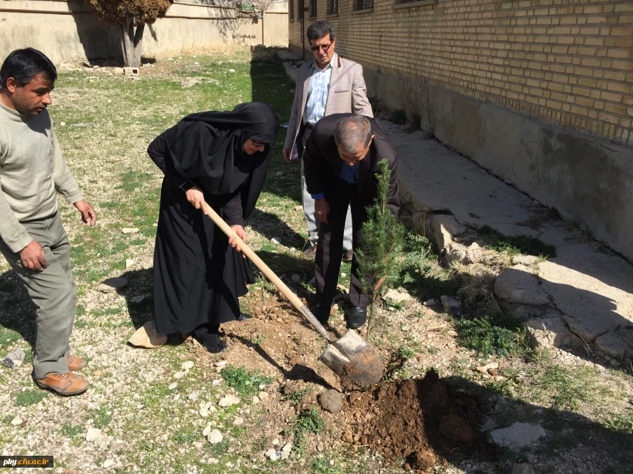 غرس نهال در حیاط ساختمان شماره 2 پرددیس کوثر 2