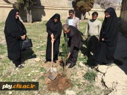 غرس نهال در حیاط ساختمان شماره 2 پرددیس کوثر 5