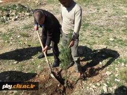 غرس نهال در حیاط ساختمان شماره 2 پرددیس کوثر 6