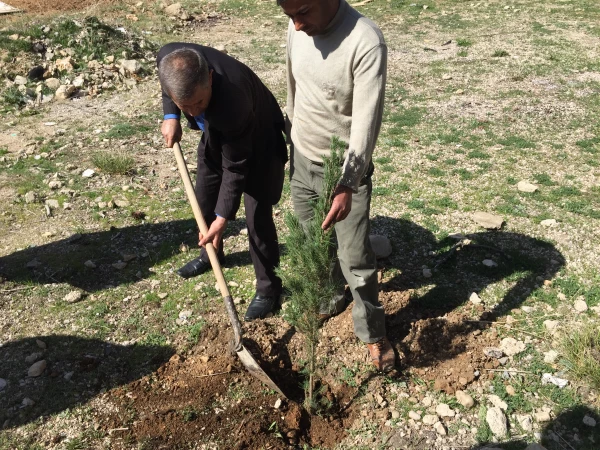 غرس نهال در حیاط ساختمان شماره 2 پرددیس کوثر 6