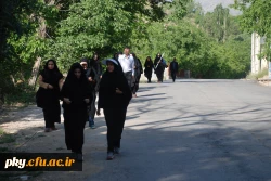 پیاده روری دانشجویان و کارکنان پردیس  کوثر به مناسبت هفته خوابگاه ها 4