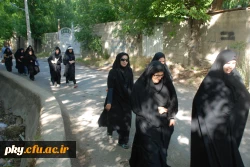 پیاده روری دانشجویان و کارکنان پردیس  کوثر به مناسبت هفته خوابگاه ها 5