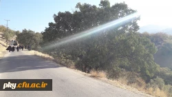 برگزاری همایش پیاده روی به مناسبت گرامیداشت هفته تربیت بدنی با حضورکارکنان و دانشجویان پردیس کوثر
 4