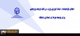 شیوه نامه اعطای فرصت پژوهشی