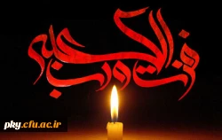 شهادت امام علی (ع) تسلیت باد 2