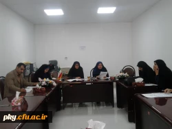 برگزاری جلسه کمیته اجرایی هفته بهداشت روان 3