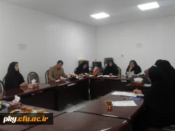 برگزاری جلسه کمیته اجرایی هفته بهداشت روان 4