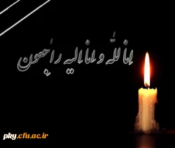 انالله وانا الیه راجعون 2