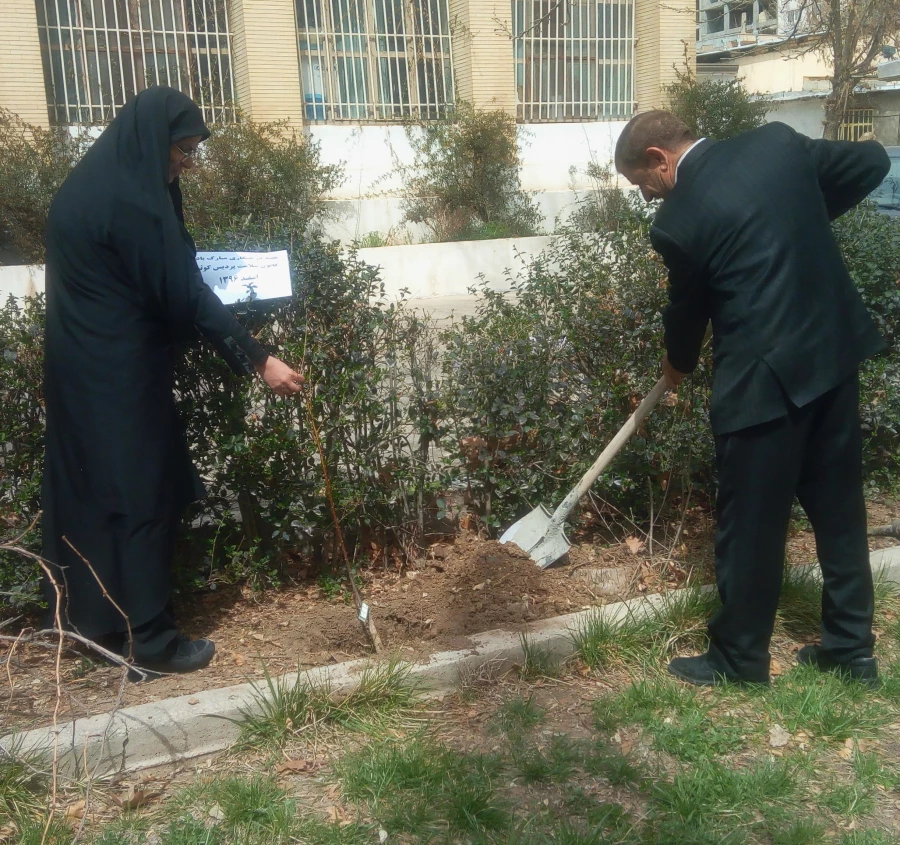 به مناسبت ۱۵ اسفند روز درختکاری برگزار شد:

برگزاری مراسم درختکاری 4