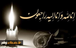 یک سال از حادثه تلخ در بام ایران گذشت 2