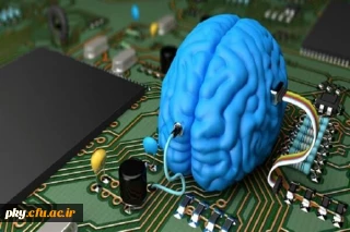 فراخوان حمایت از طرح های پژوهشی حوزه علوم شناختی منتشر شد