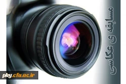 مسابقه عکس با موضوع کتاب 2