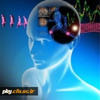 برگزاری کارگاه های آموزشی مجازی  2